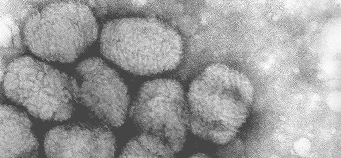 Smallpox@home: Global supercomputing grid project to find post-infection treatment launches