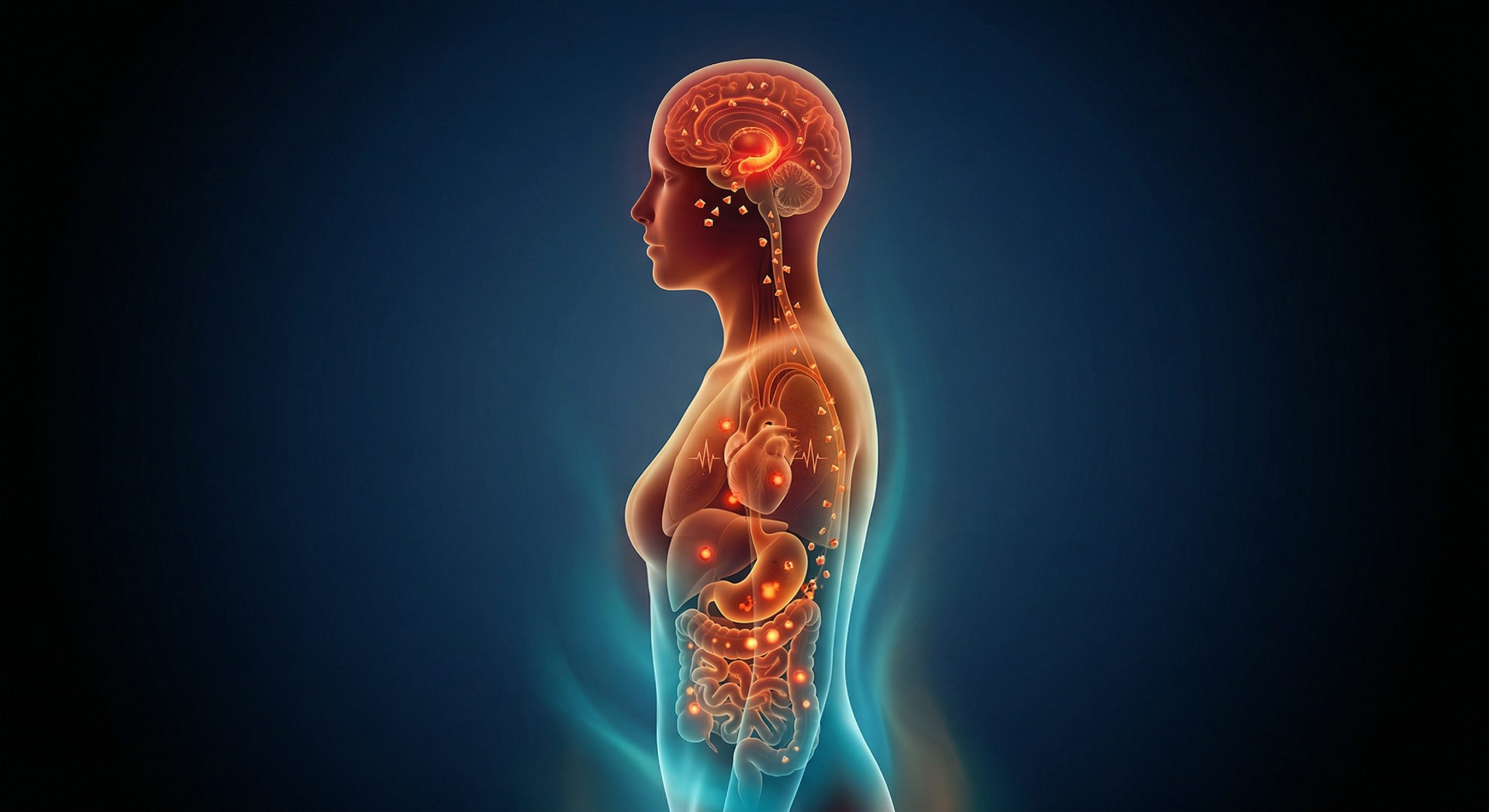 Stress Equals Illness: Better Do Something About It