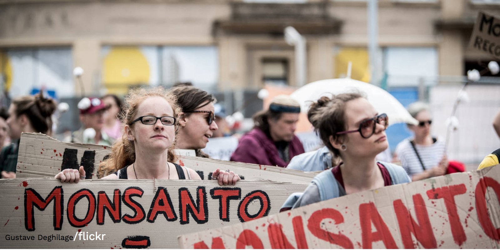 Pseudoscience: Monsanto’s ghostwriting and strong-arming threaten sound science—and society