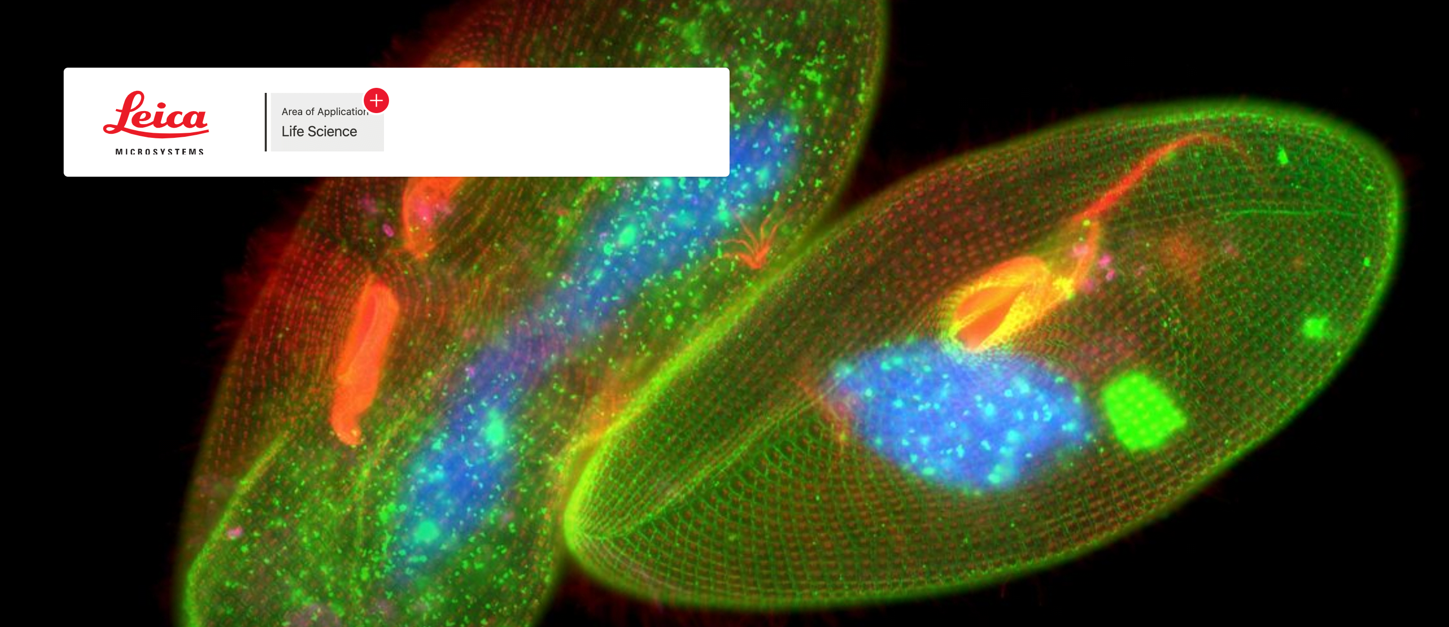 Flourescent Microscopy: How to Tell a Frequency is Killing a Virus
