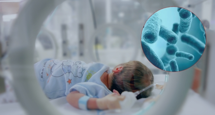 The Elixir of Life Hidden in Breast Milk